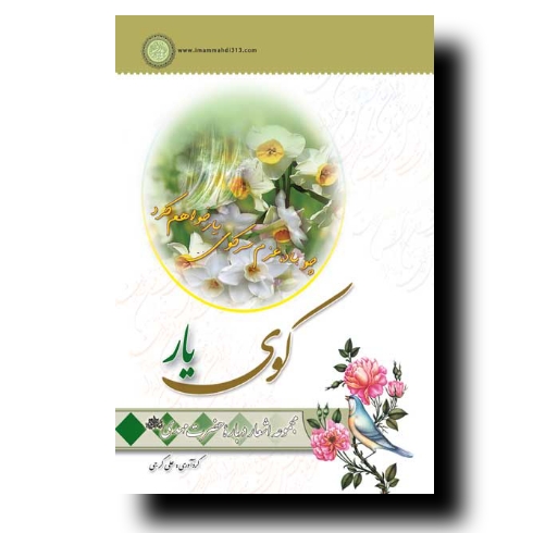تصویر محصول کوی یار
